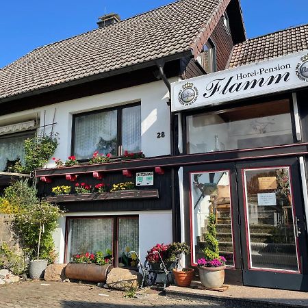 Hotel-Pension Flamm Braunlage Exteriör bild