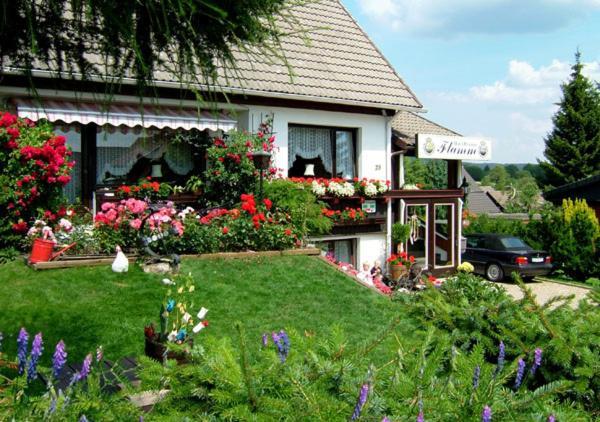 Hotel-Pension Flamm Braunlage Exteriör bild