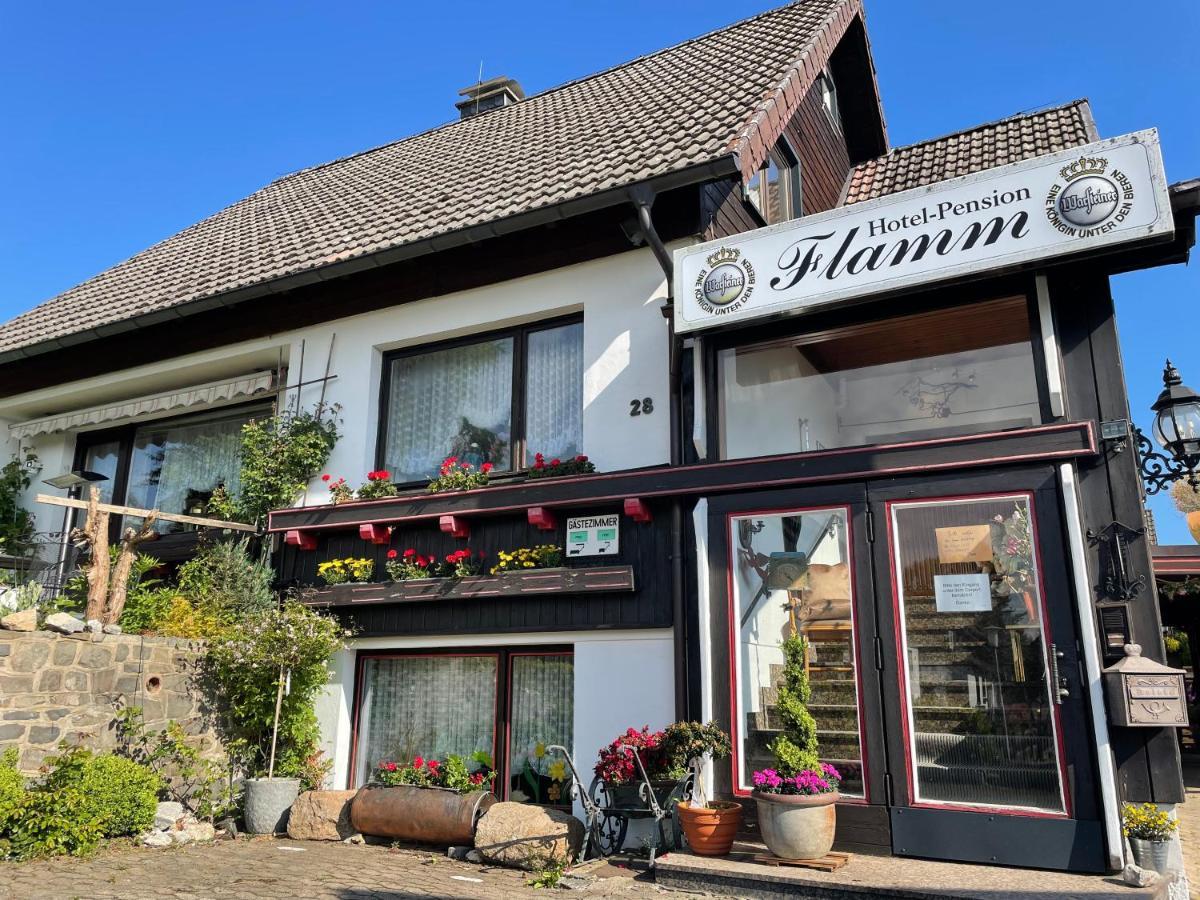 Hotel-Pension Flamm Braunlage Exteriör bild